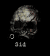 profile-sid.gif